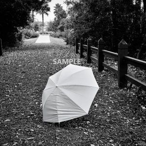 8x10" Black & White Umbrella photo profressional